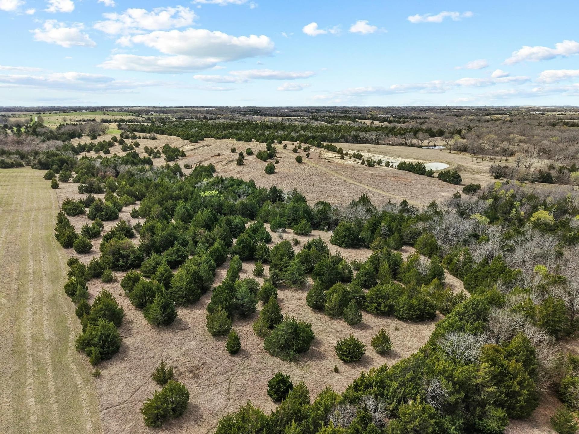 77.03 acres in Grayson County - photo 28
