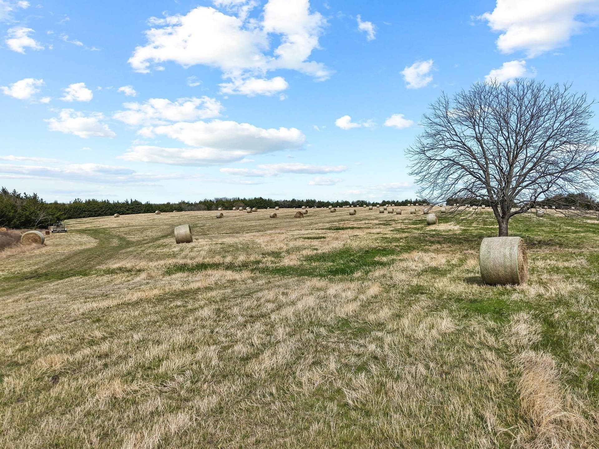 77.03 acres in Grayson County - photo 14