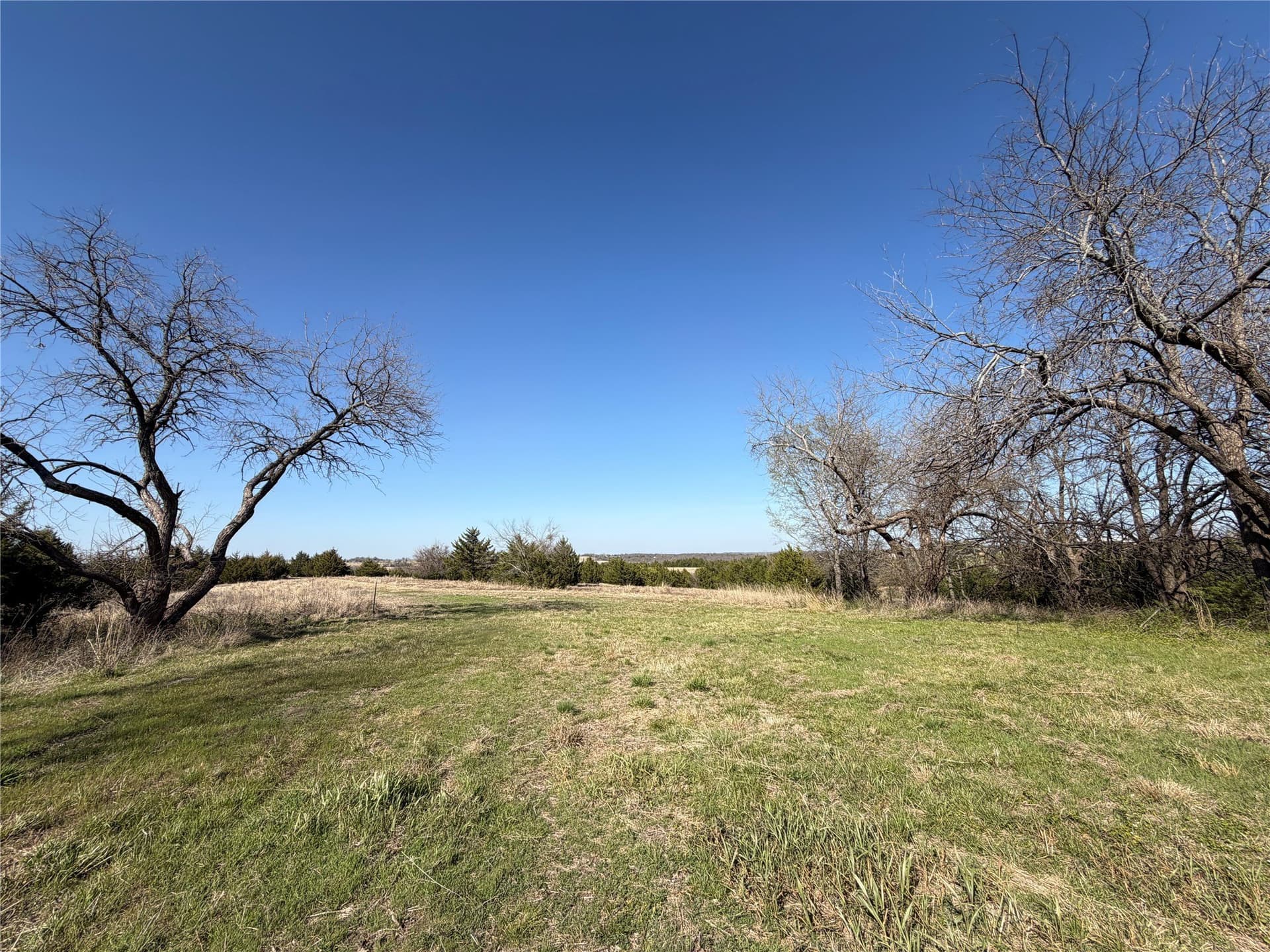 77.03 acres in Grayson County - photo 30