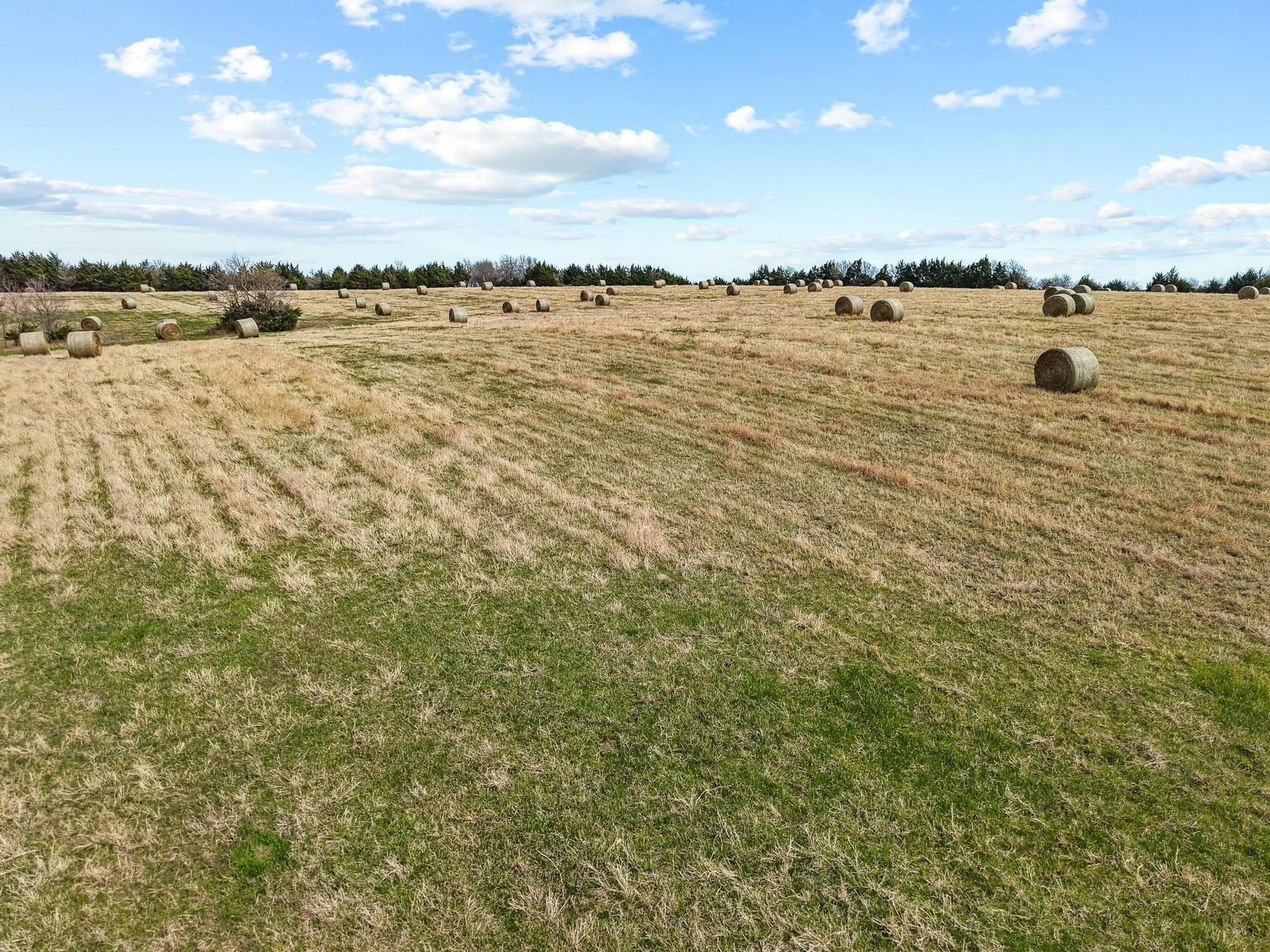 77.03 acres in Grayson County - photo 33