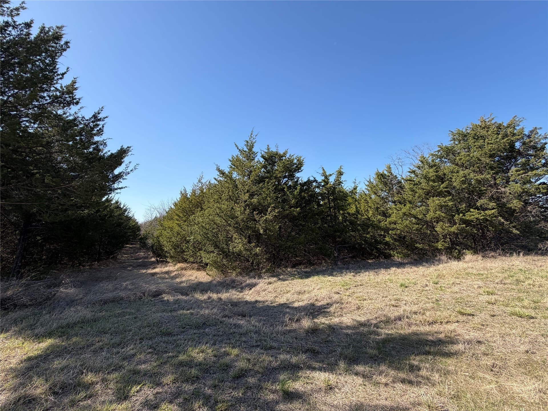 77.03 acres in Grayson County - photo 32