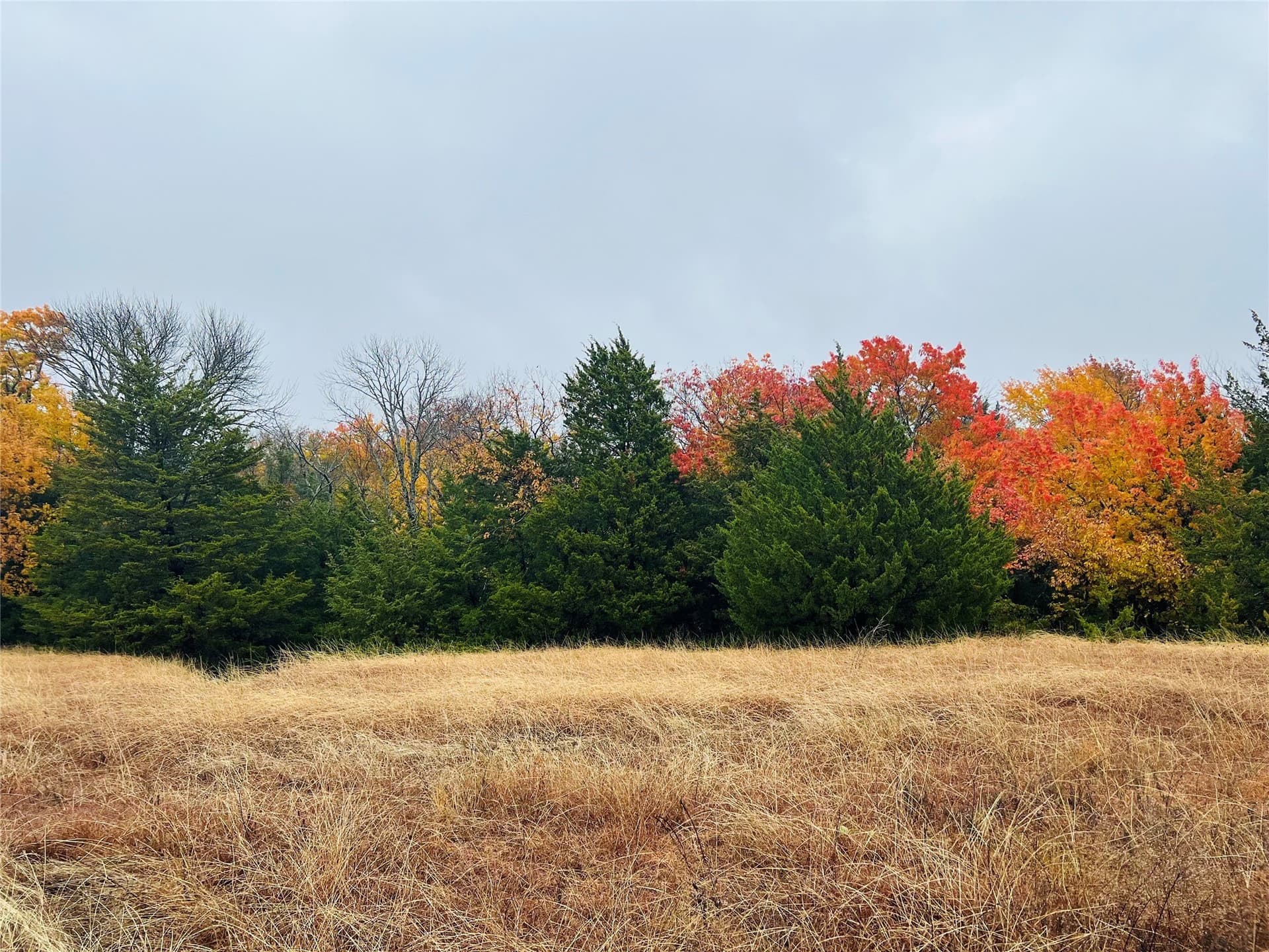 77.03 acres in Grayson County - photo 15