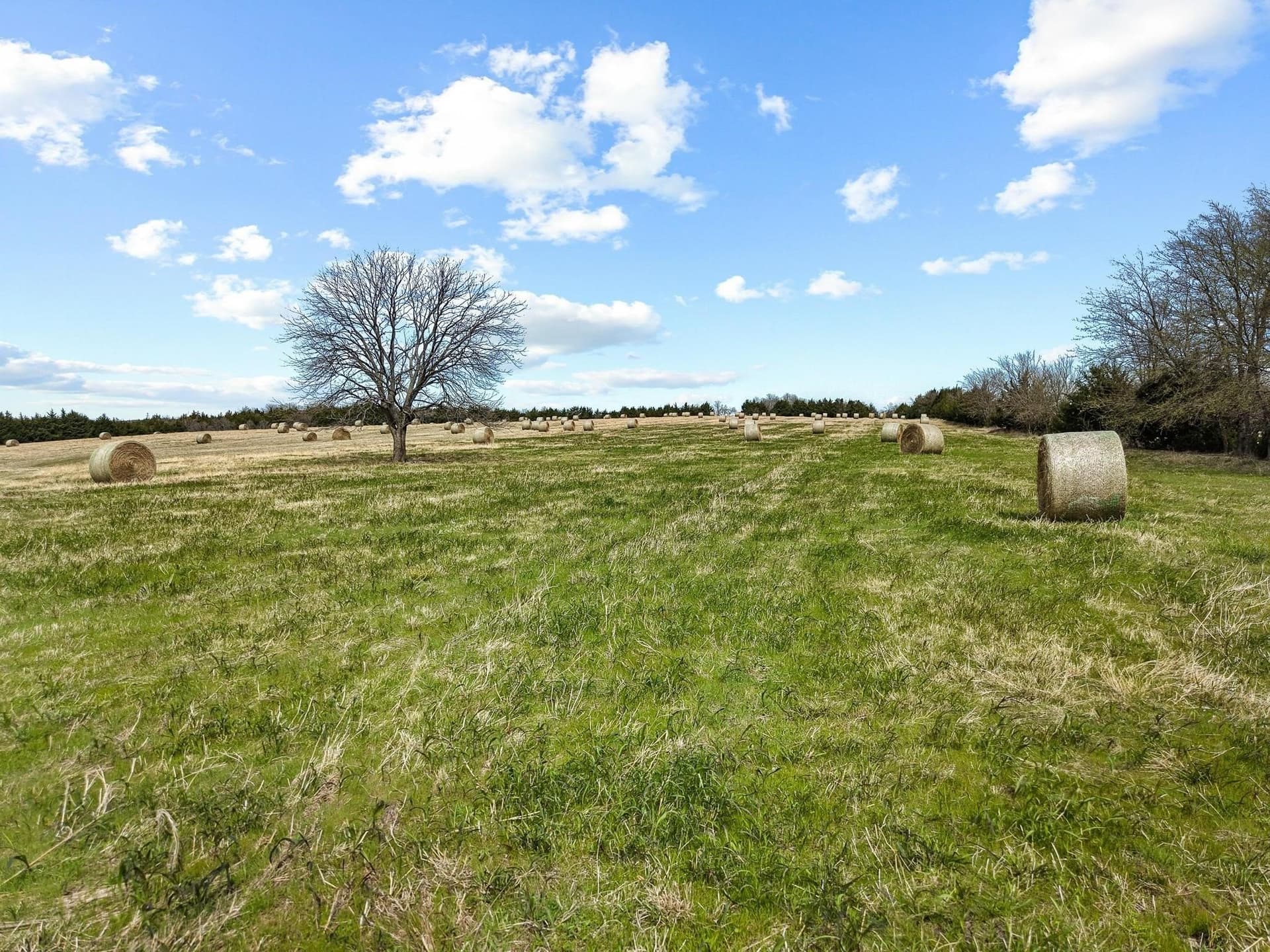 77.03 acres in Grayson County - photo 9
