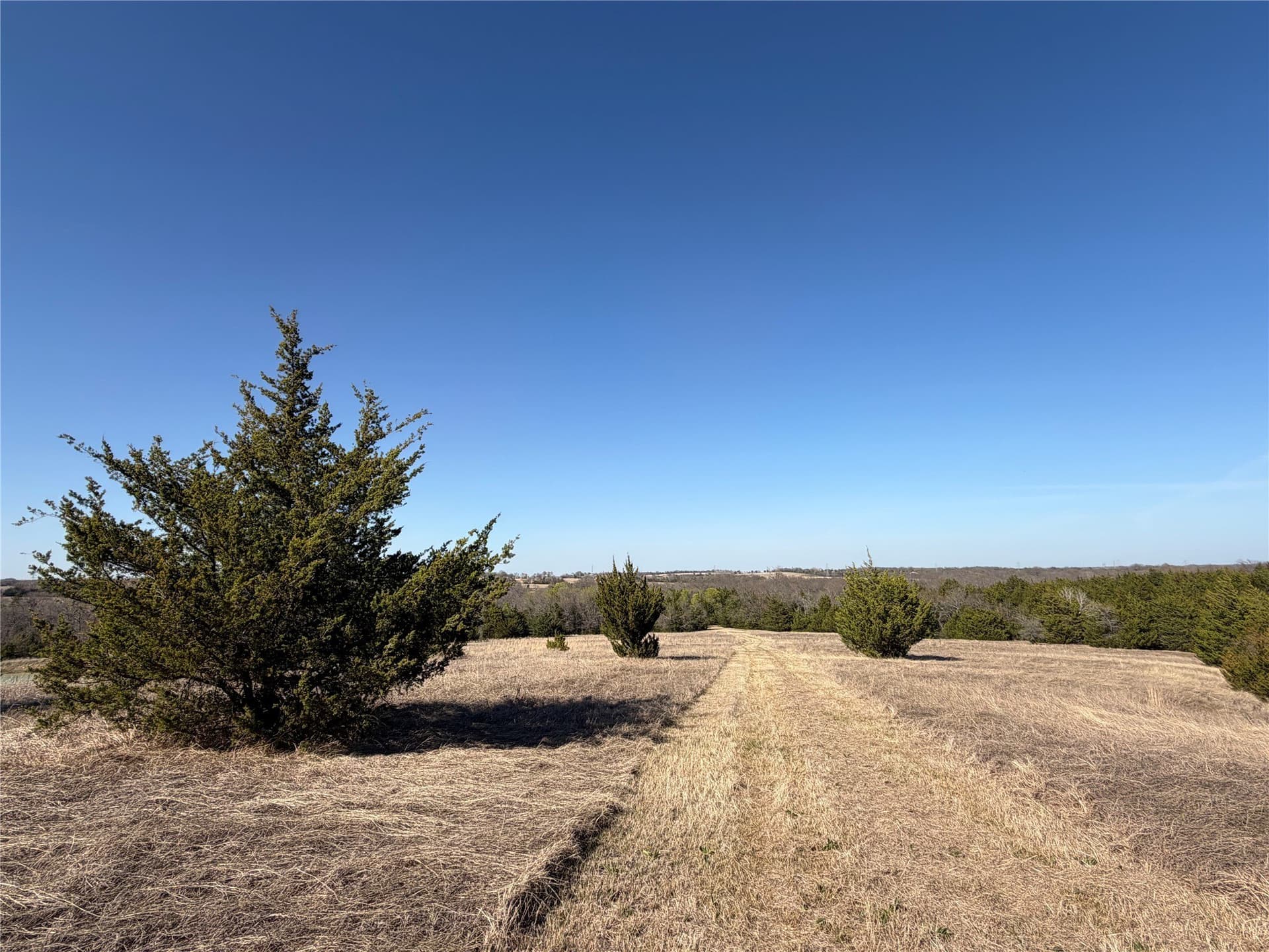 77.03 acres in Grayson County - photo 35