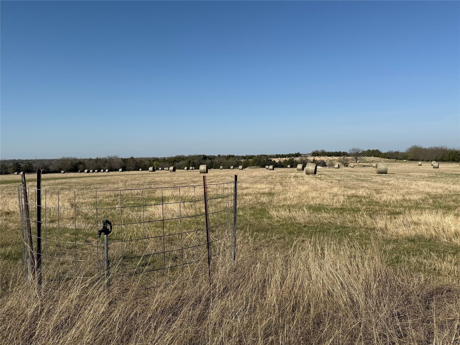 77.03 acres in Grayson County - photo 18