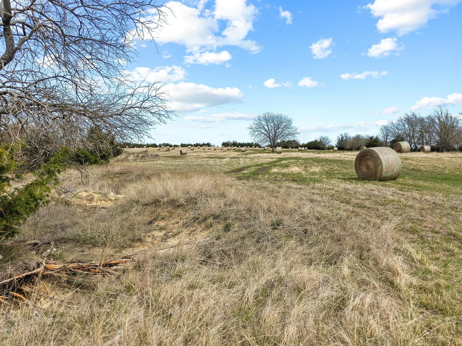 77.03 acres in Grayson County - photo 36