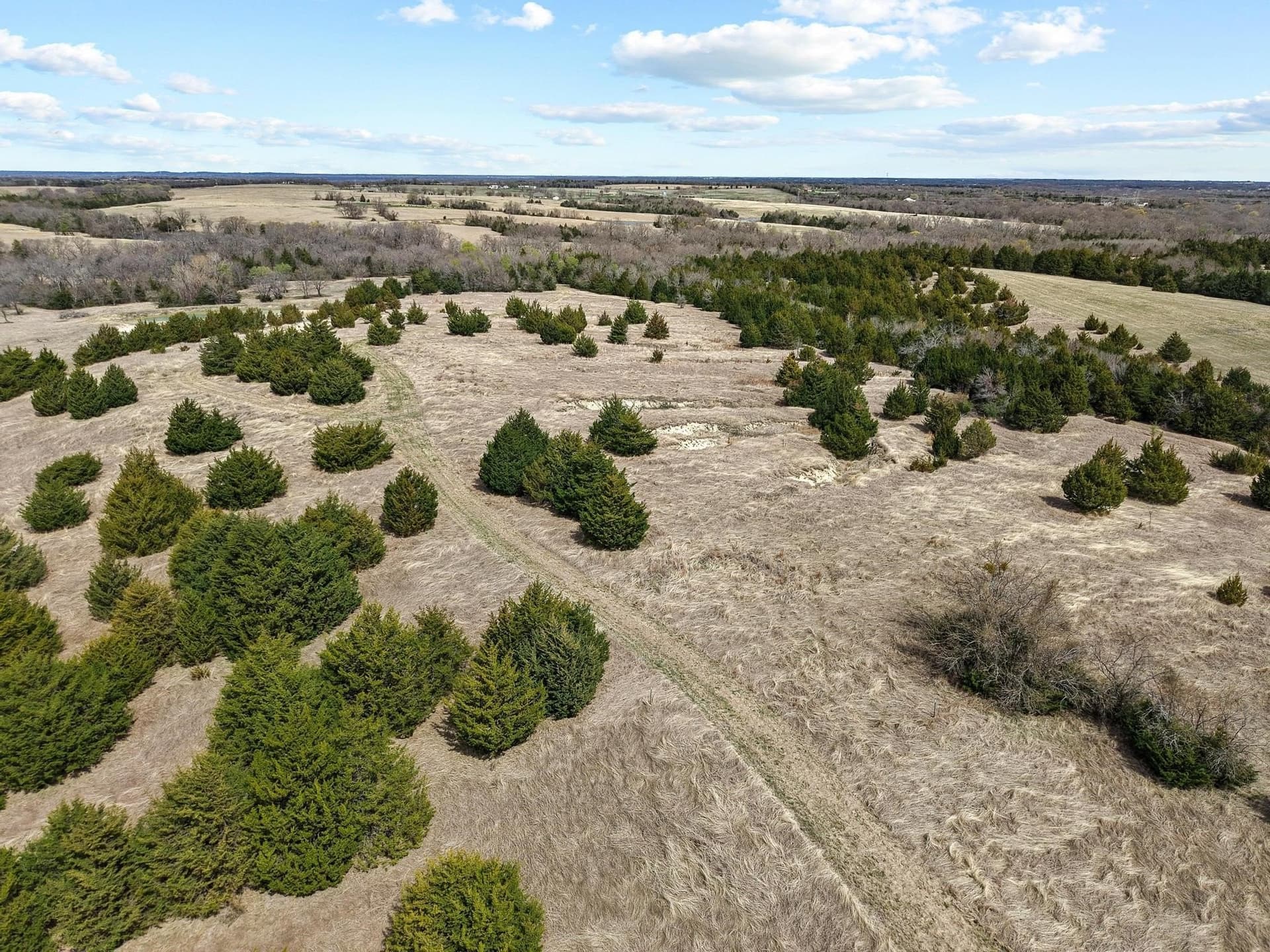 77.03 acres in Grayson County - photo 29