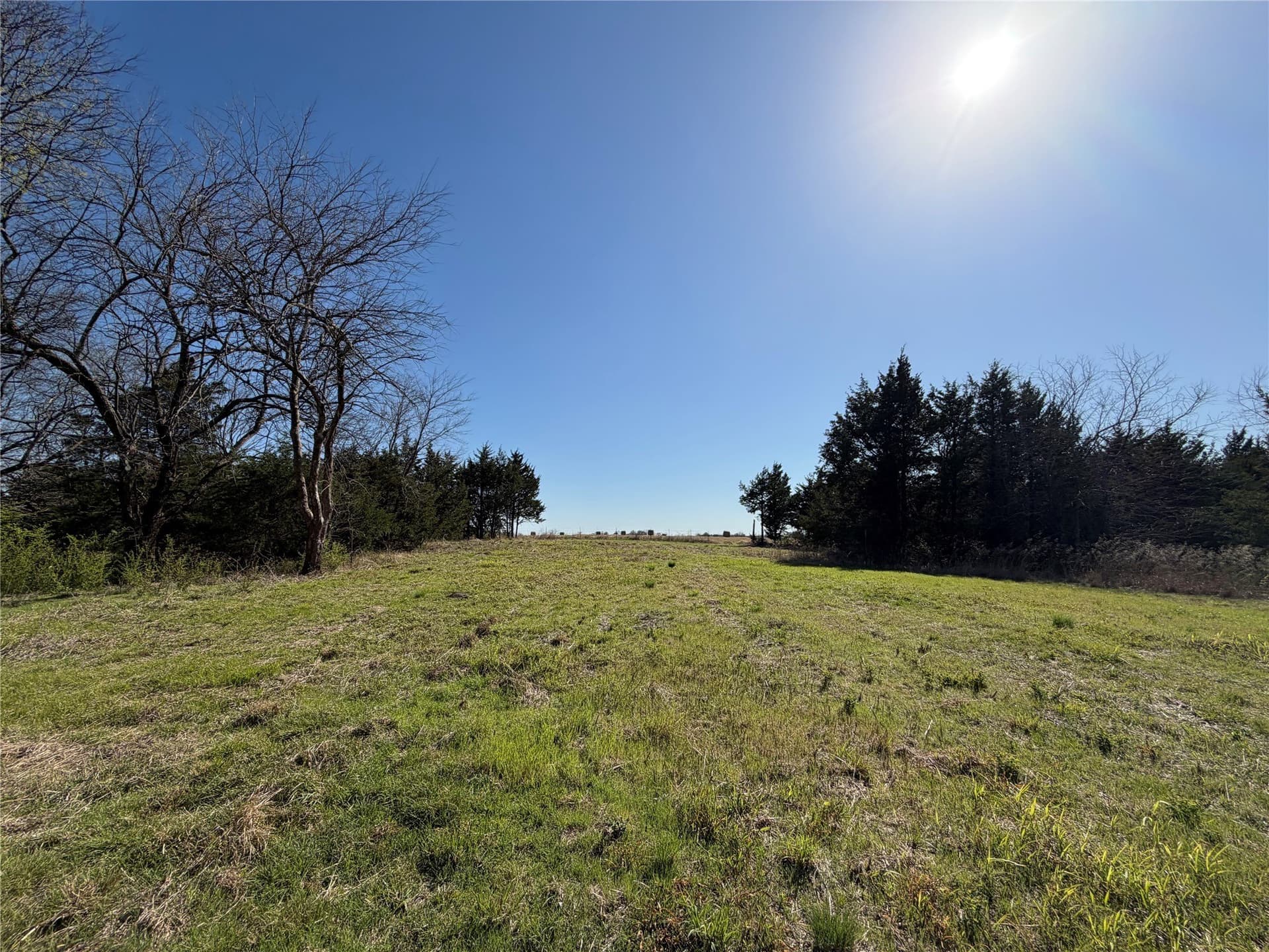 77.03 acres in Grayson County - photo 13