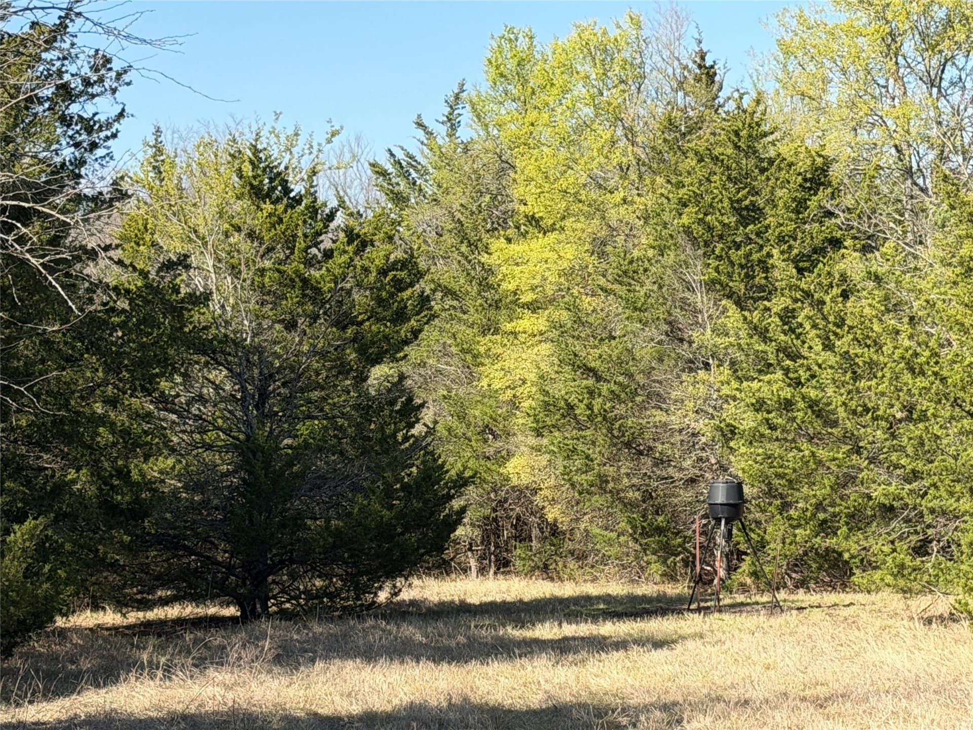77.03 acres in Grayson County - photo 12