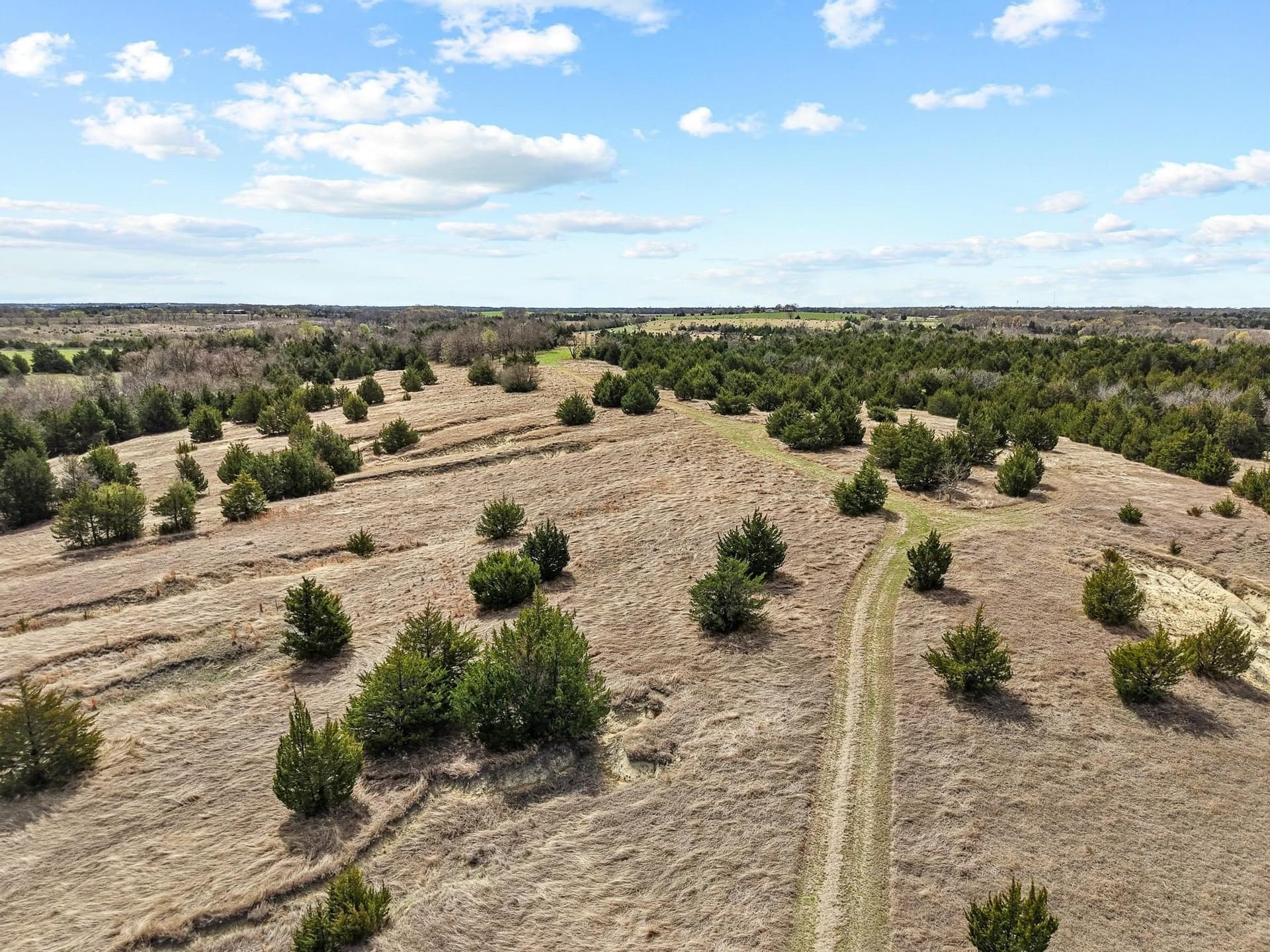 77.03 acres in Grayson County - photo 23