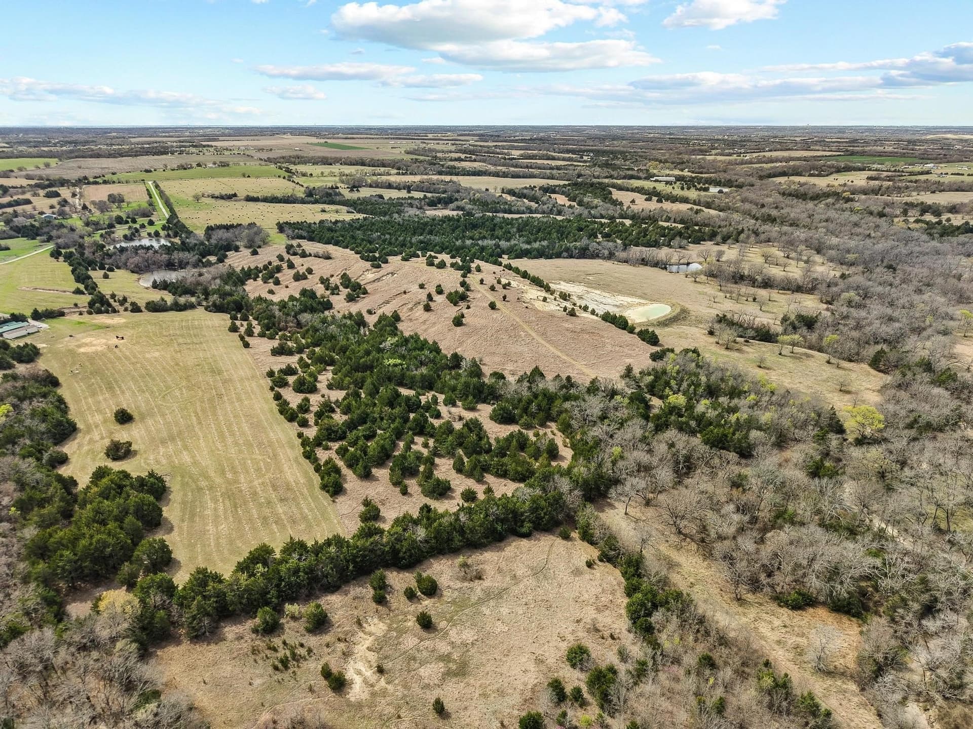 77.03 acres in Grayson County - photo 19