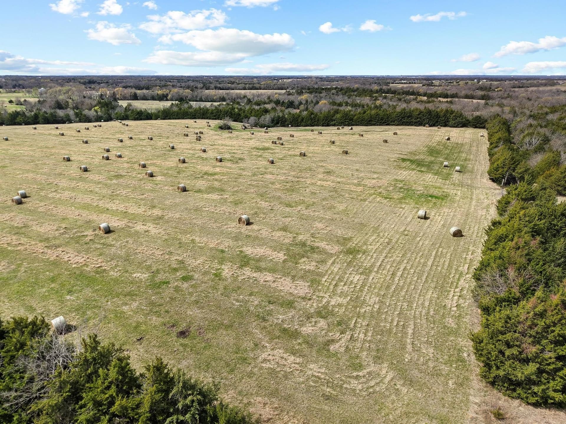 77.03 acres in Grayson County - photo 20
