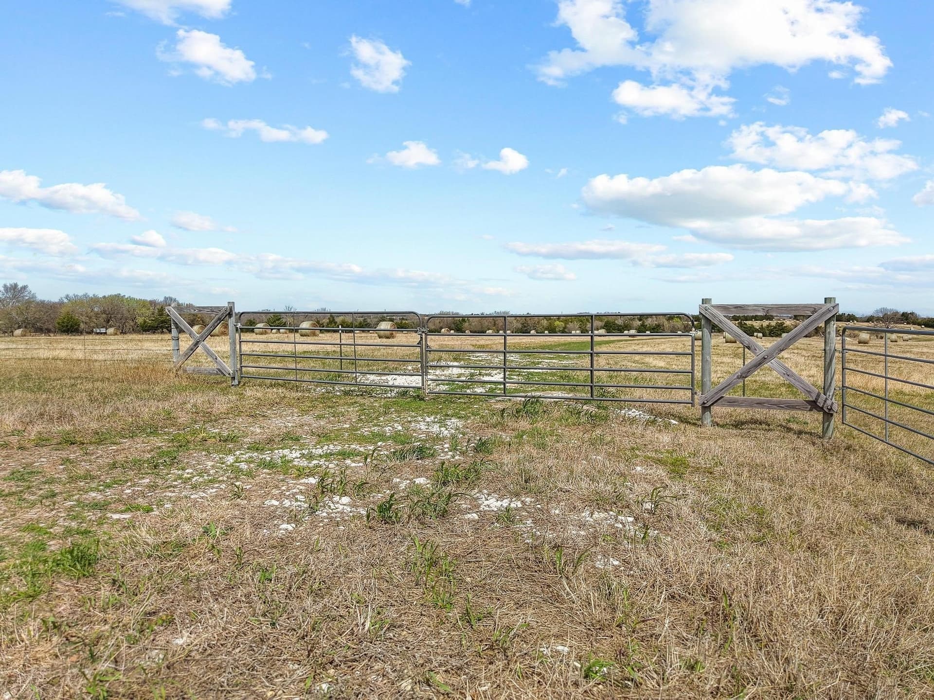 77.03 acres in Grayson County featured view