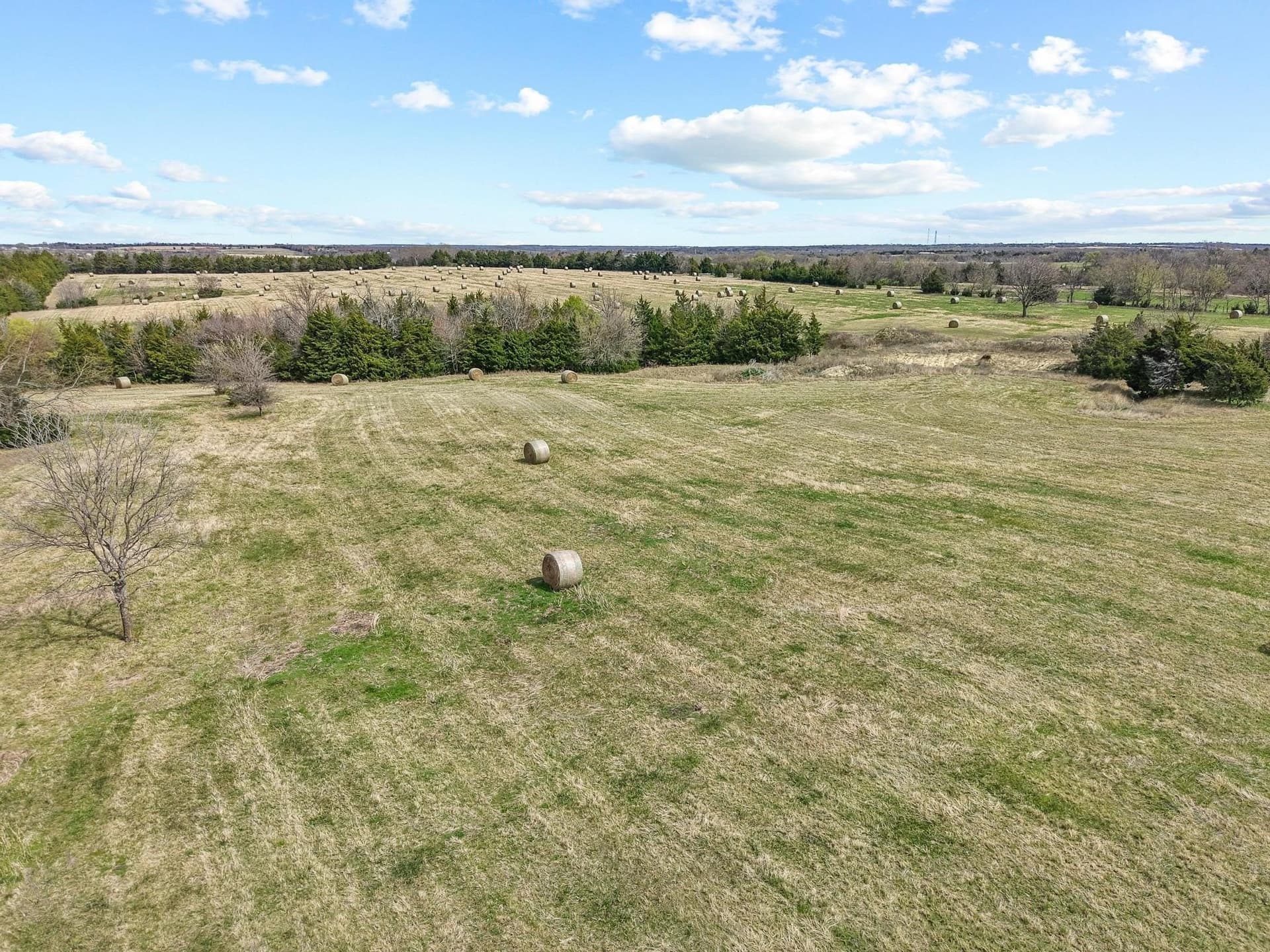 77.03 acres in Grayson County - photo 17