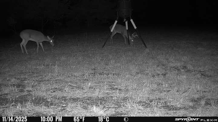 15.5 acres in Hunt County gallery image 3