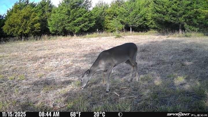 15.5 acres in Hunt County featured view