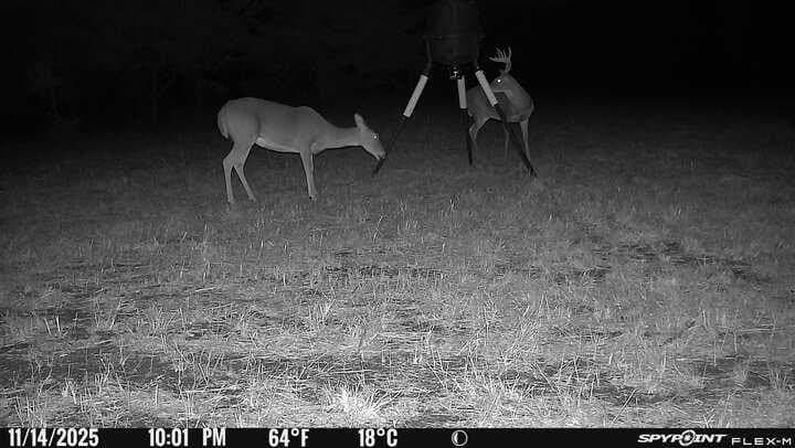 15.5 acres in Hunt County gallery image 4