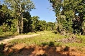 2 acres in Parker County - photo 4