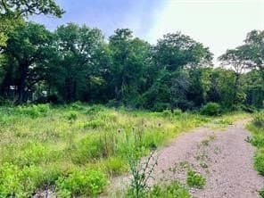 2 acres in Parker County - photo 2