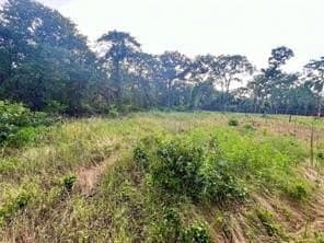 2 acres in Parker County - photo 3