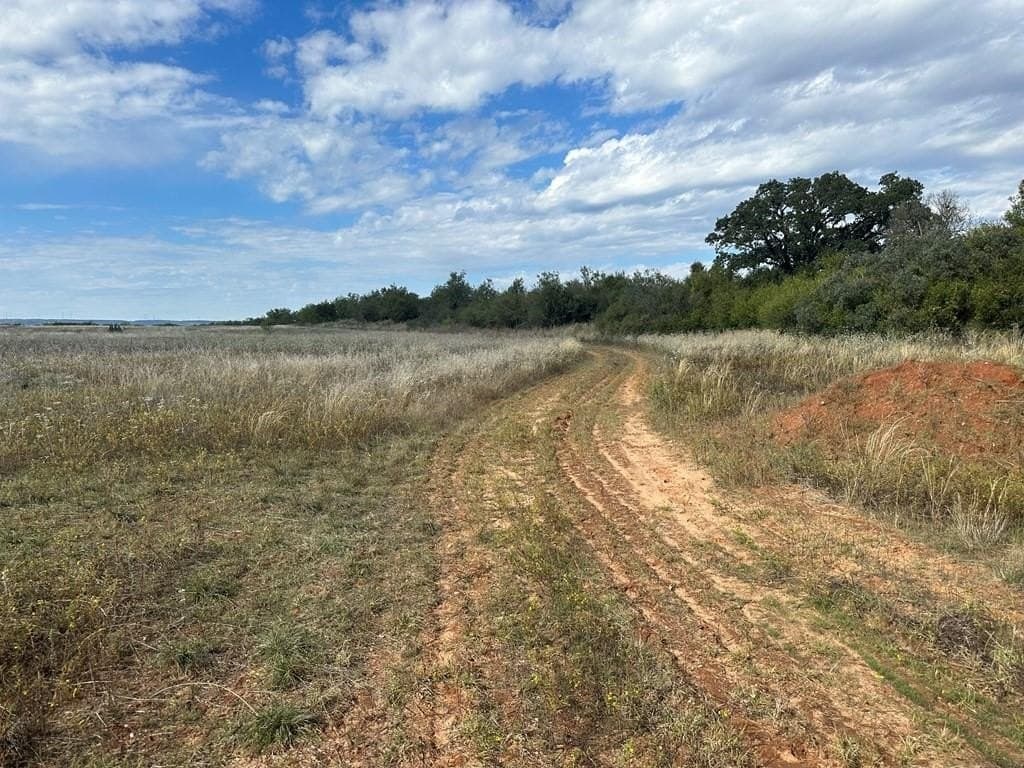 20.05 acres in Taylor County