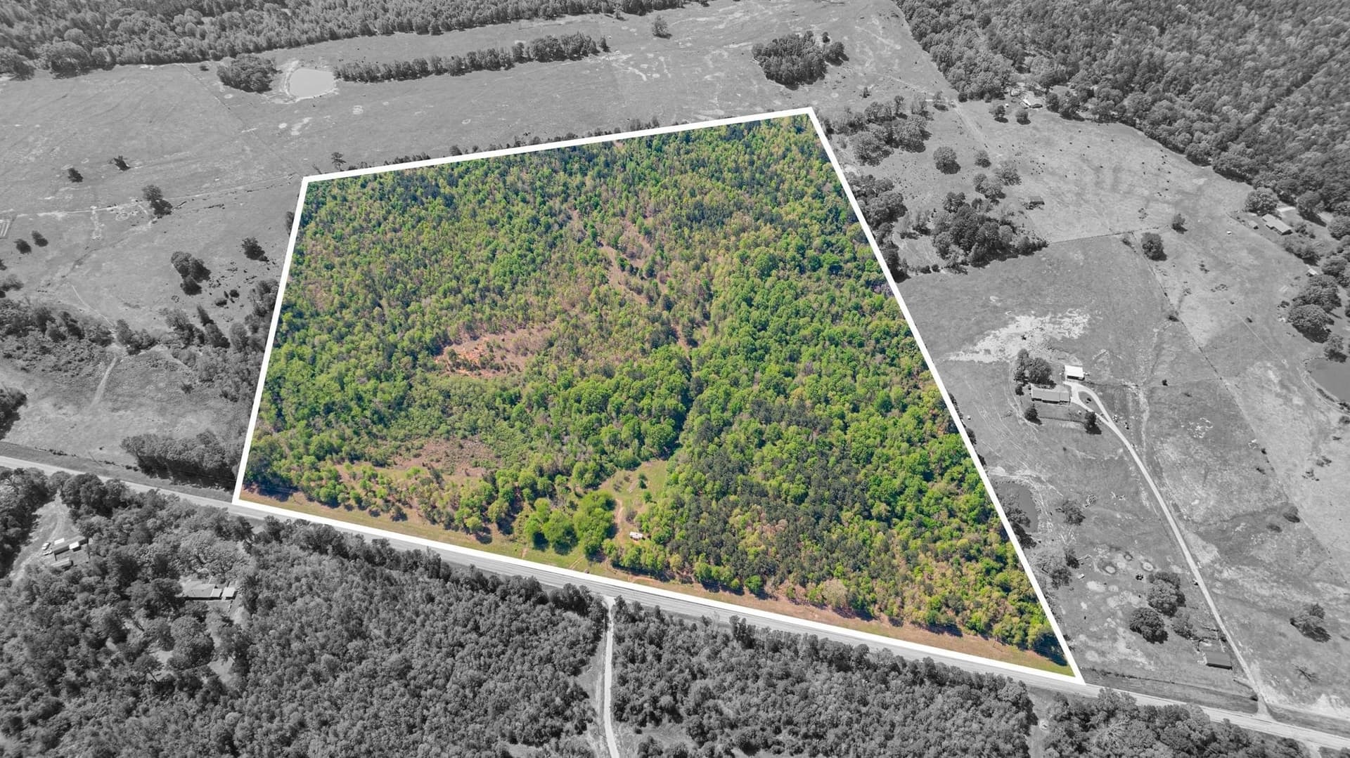 49.77 acres in Texas County gallery image 4