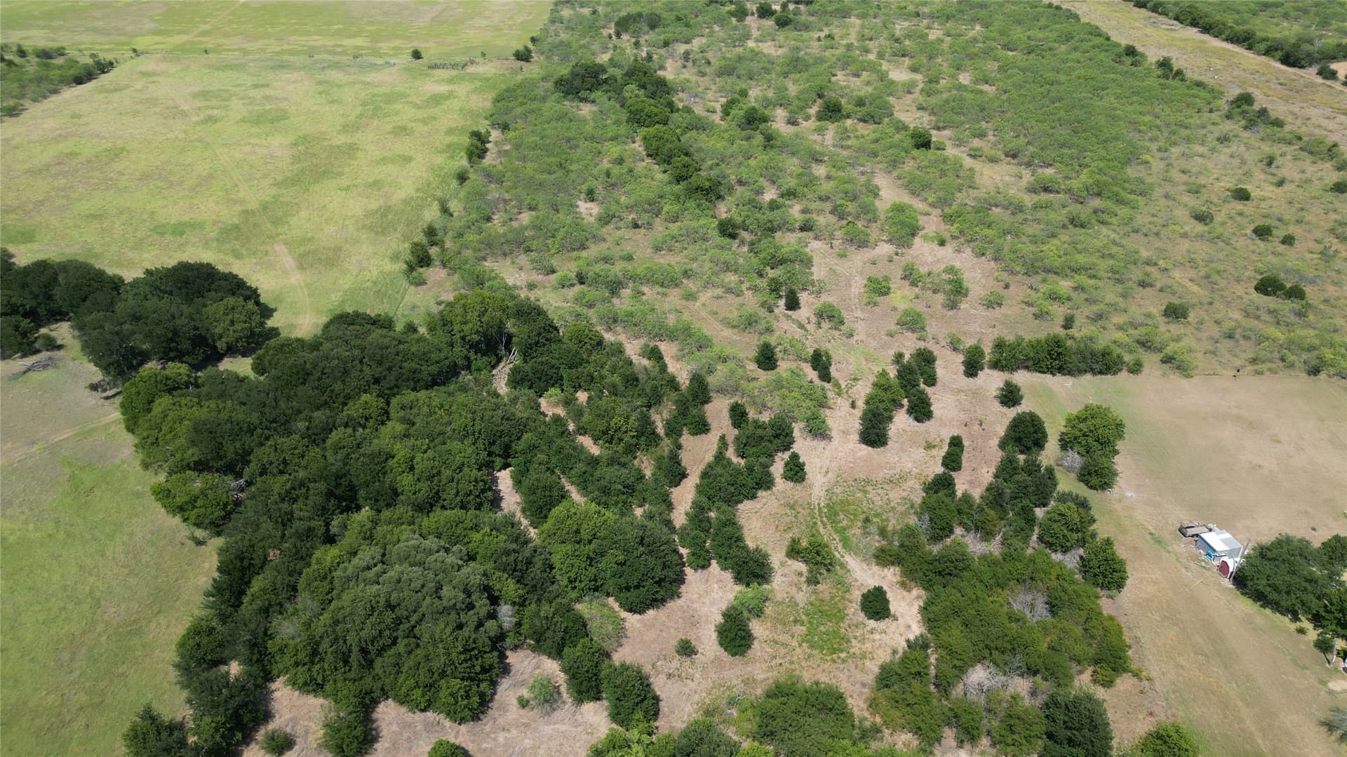24.57 acres in Hill County - photo 5