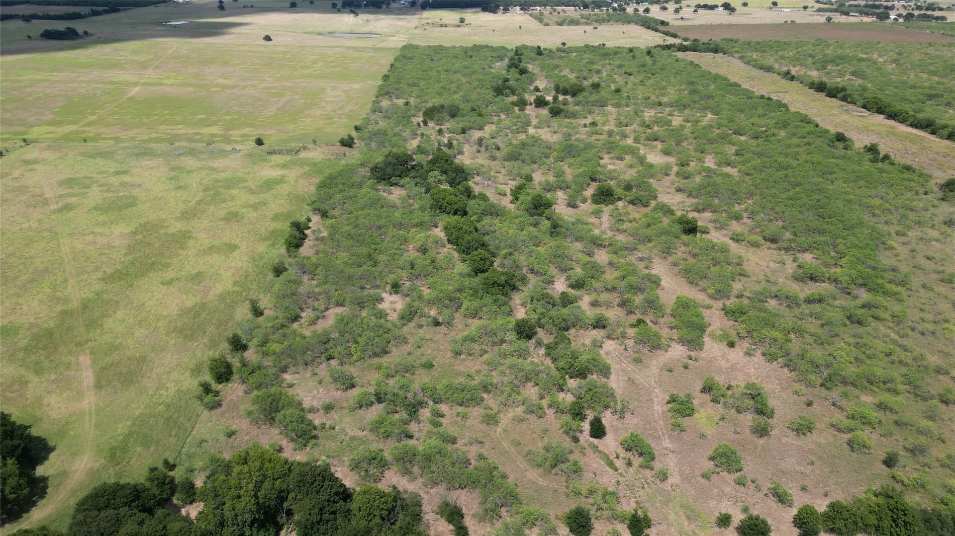 24.57 acres in Hill County - photo 4