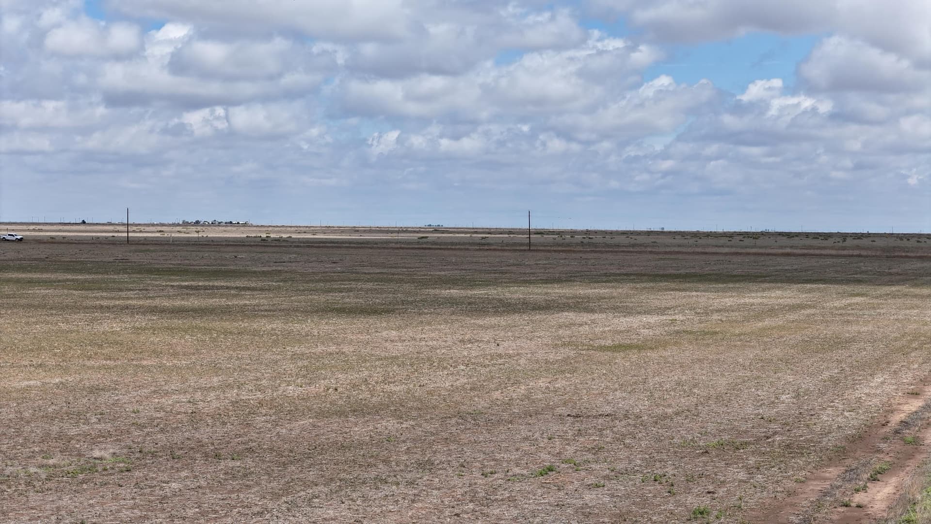 50 acres in Swisher County gallery image 4
