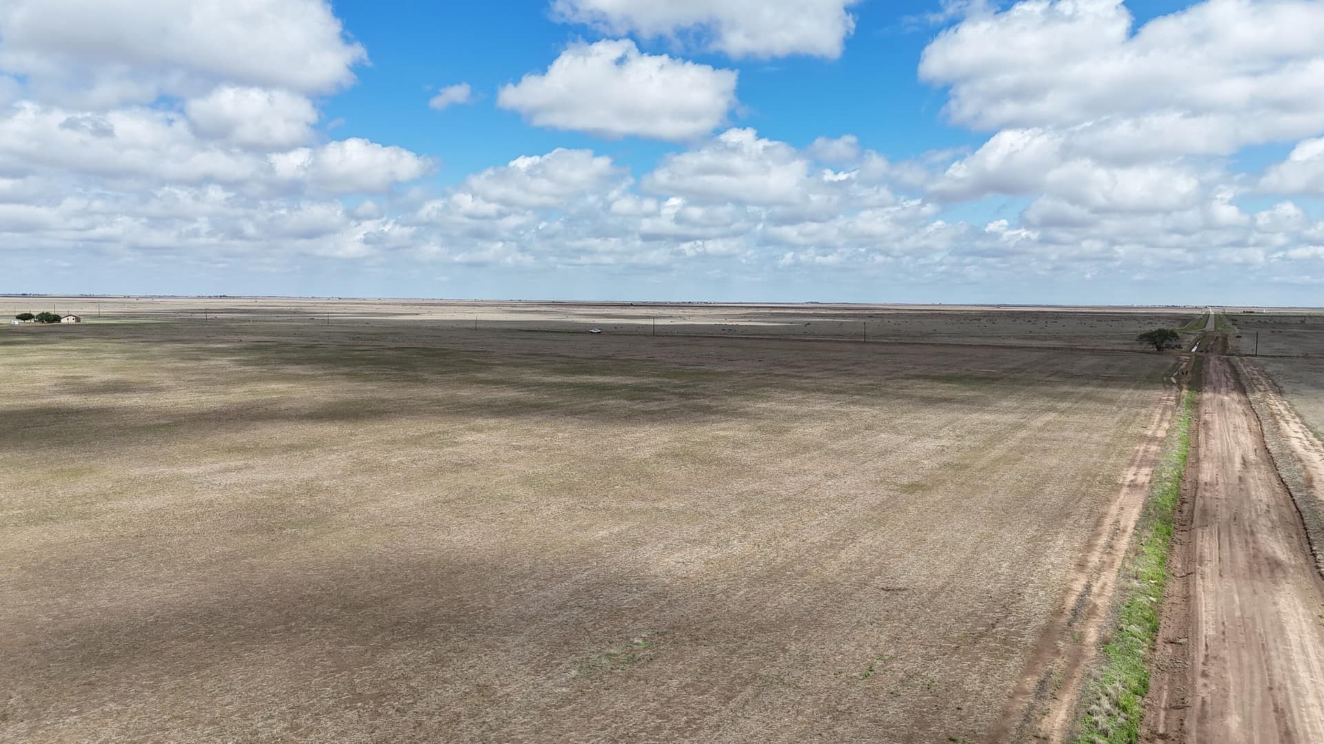 50 acres in Swisher County gallery image 3