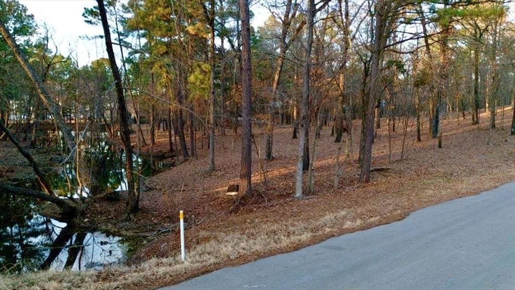 1.49 acres in Smith County gallery image 2