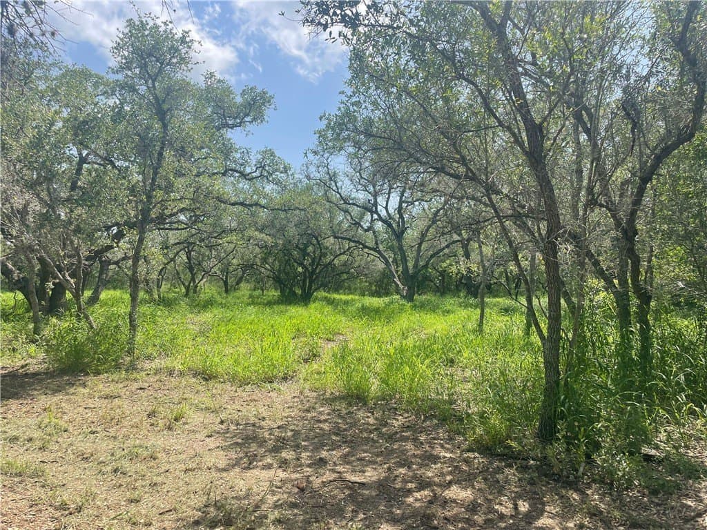 3.01 acres in Bee County - photo 7