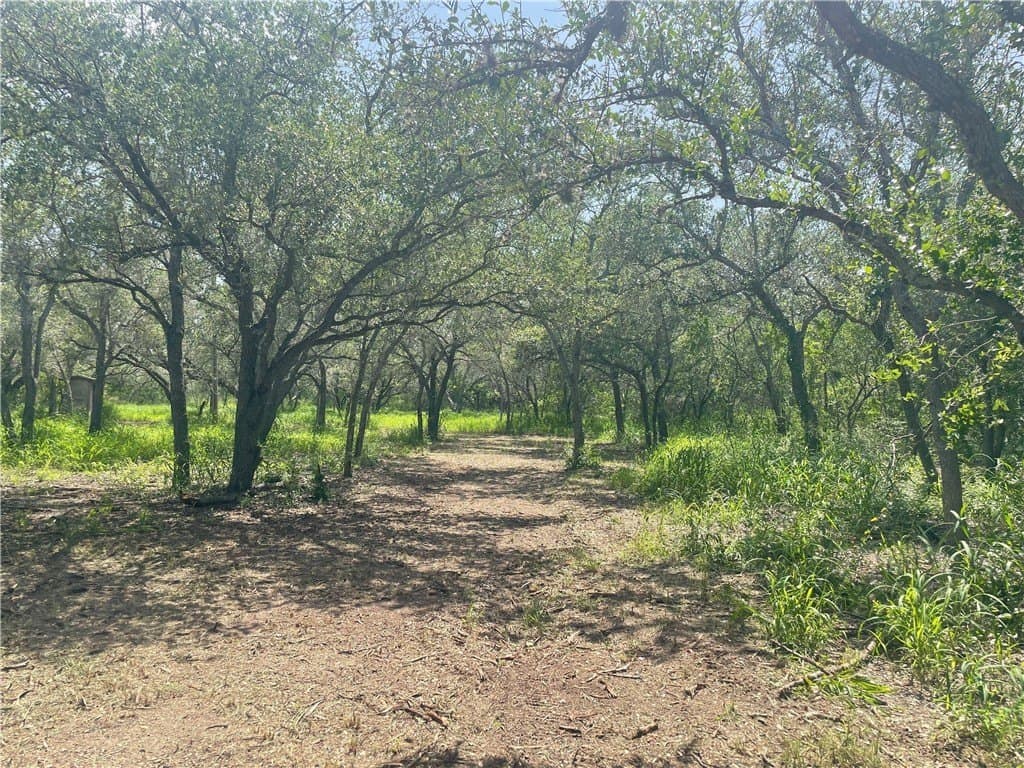 3.01 acres in Bee County - photo 6