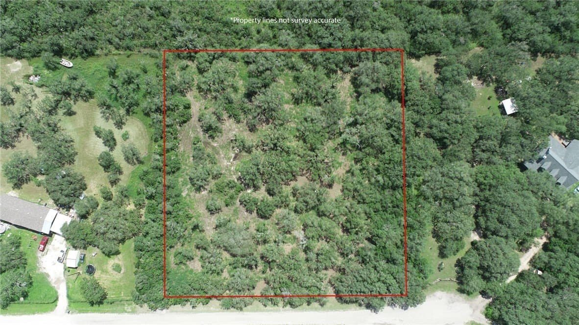 3.01 acres in Bee County gallery image 3