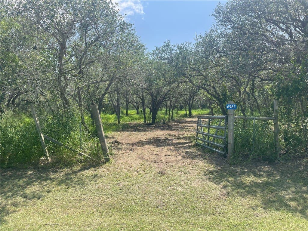 3.01 acres in Bee County featured view