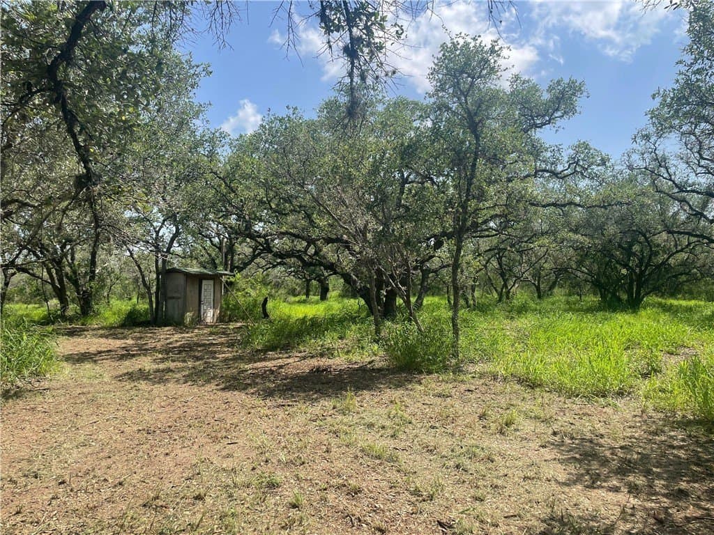 3.01 acres in Bee County - photo 8