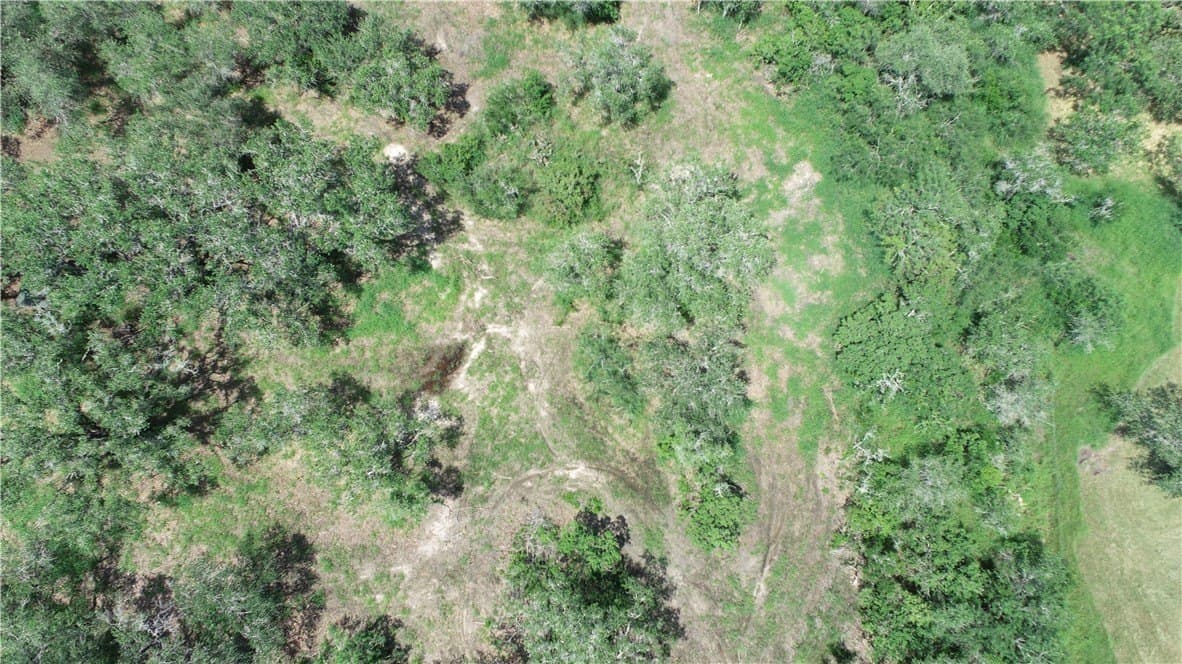3.01 acres in Bee County gallery image 4