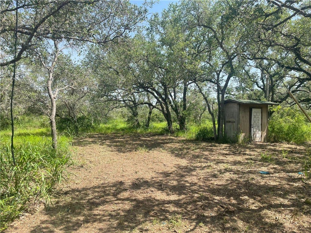 3.01 acres in Bee County - photo 10