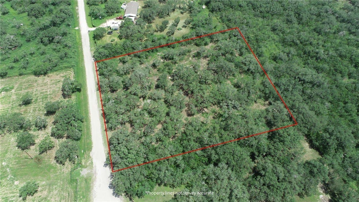 3.01 acres in Bee County gallery image 2