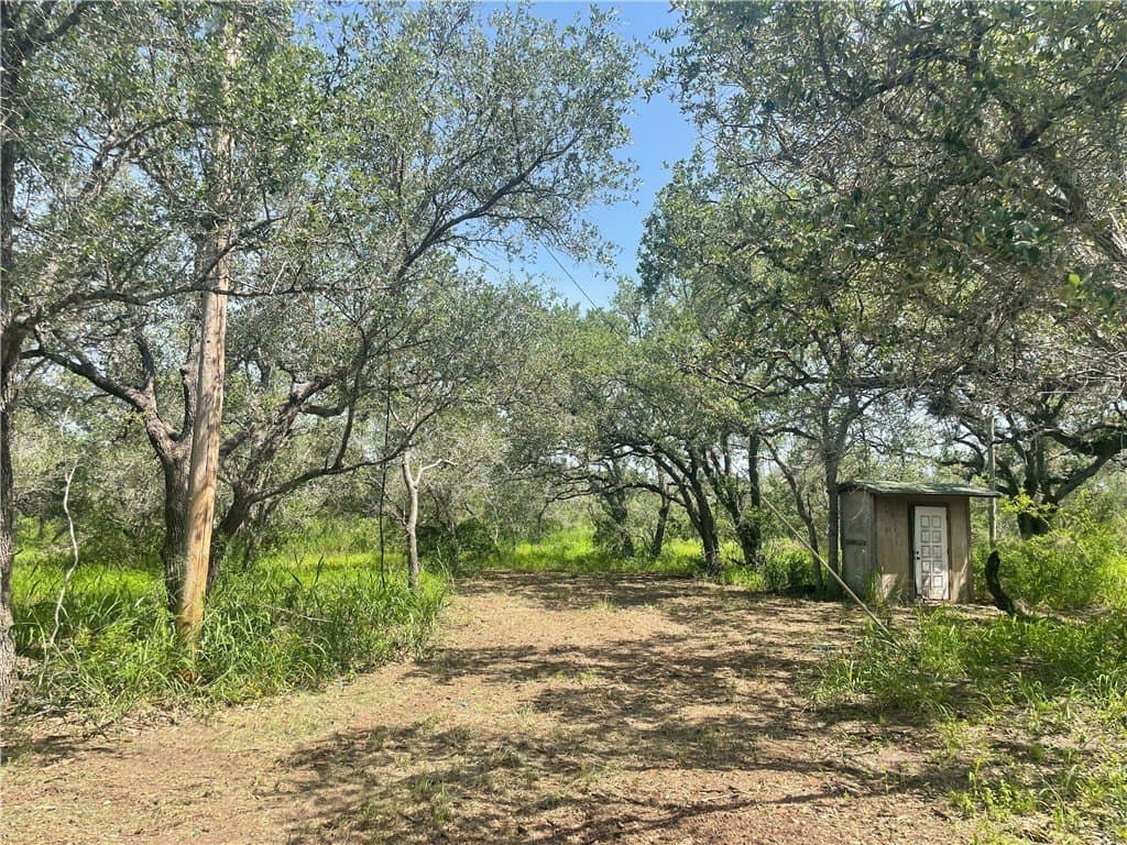 3.01 acres in Bee County - photo 9
