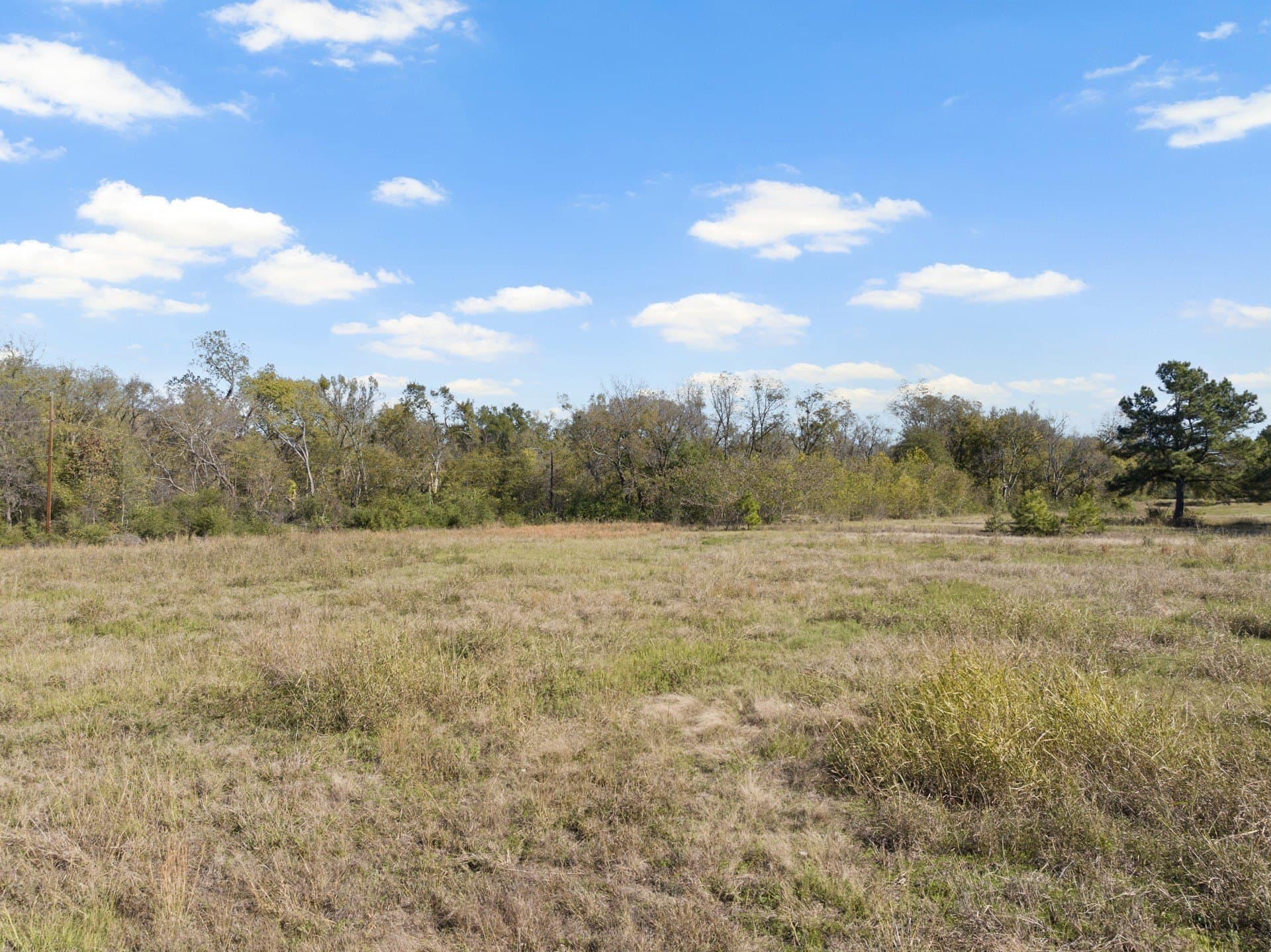 17 acres in Hopkins County gallery image 4