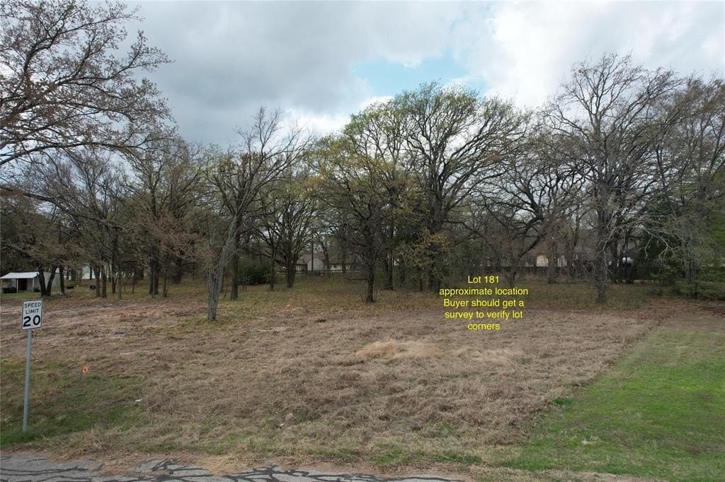 0.31 acres in Henderson County gallery image 3