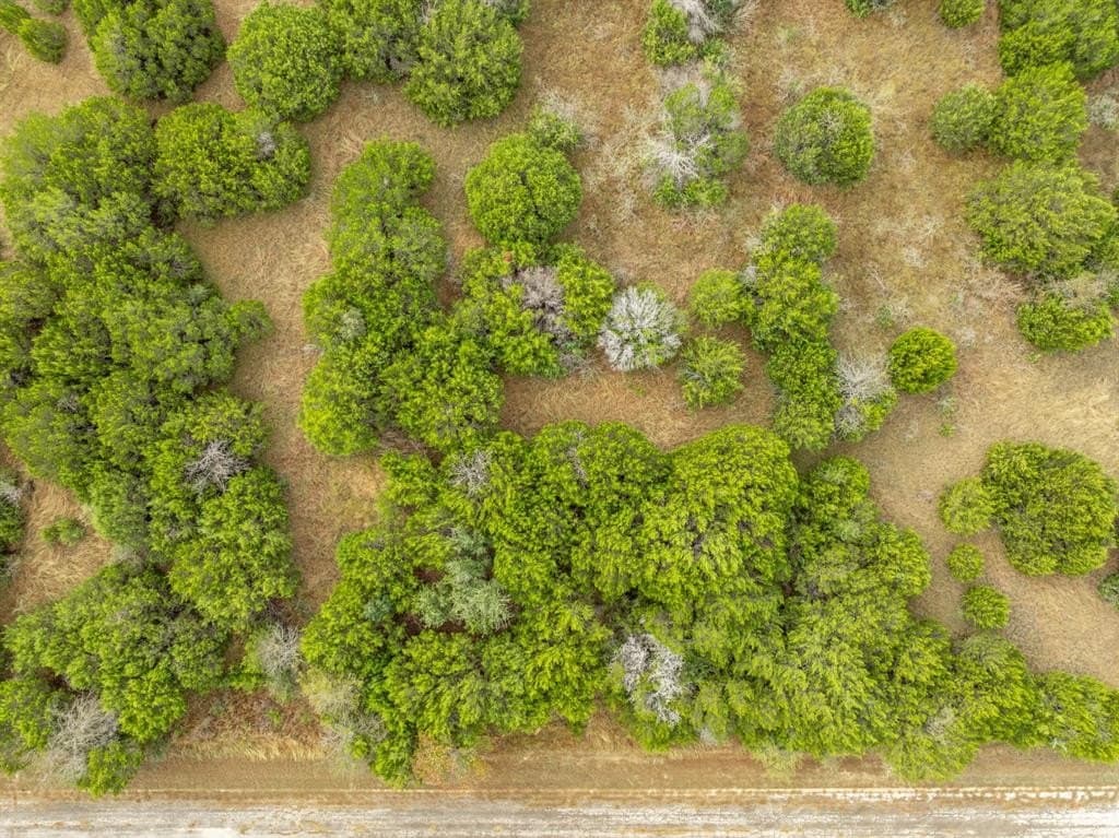 0.33 acres in Hill County gallery image 2