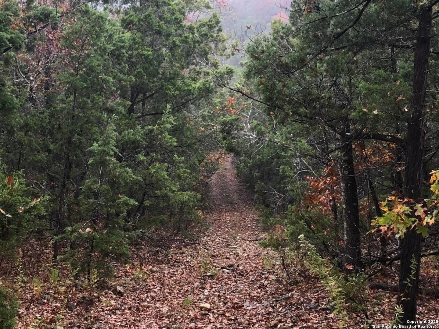24.7 acres in Medina County - photo 45