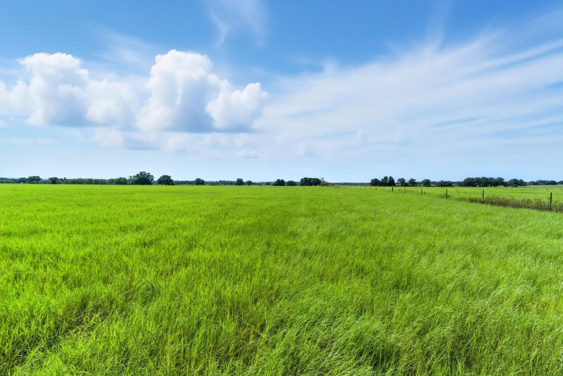 20 acres in Palo Pinto County - photo 4