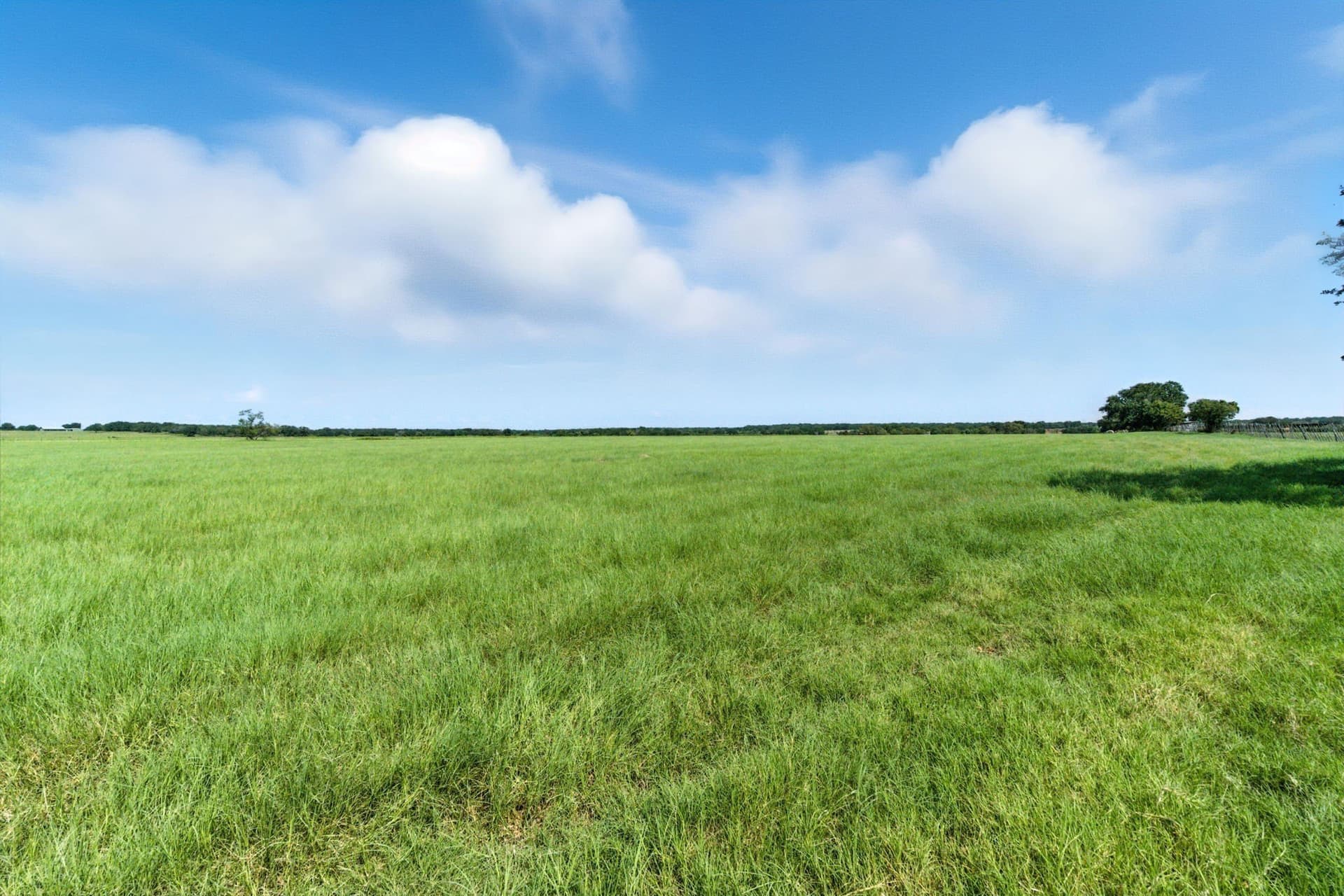 20 acres in Palo Pinto County - photo 7