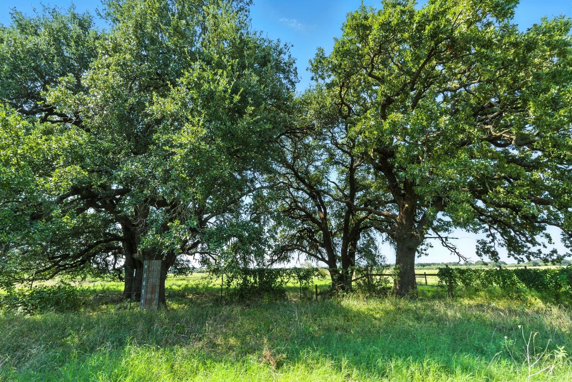 20 acres in Palo Pinto County - photo 2