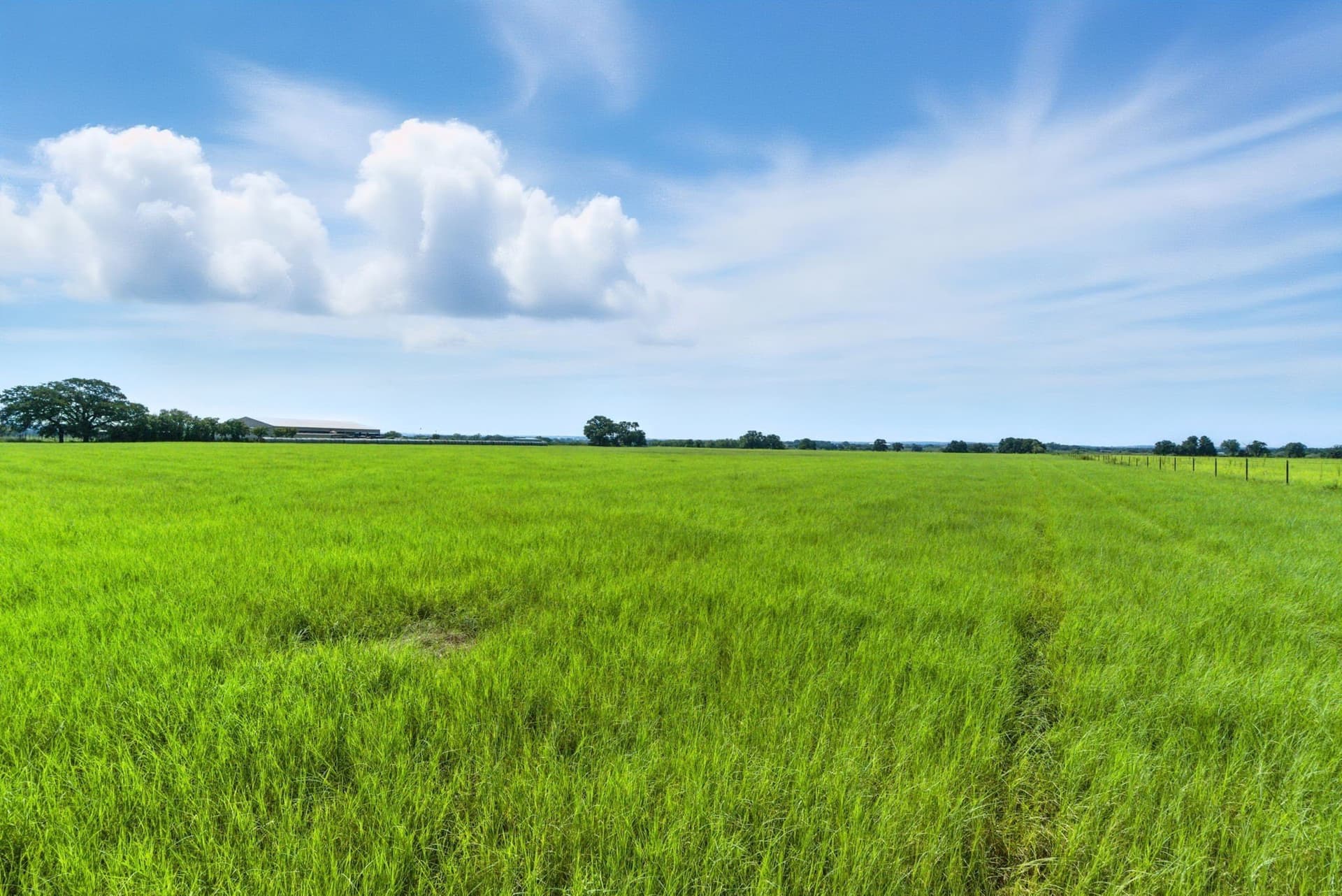 20 acres in Palo Pinto County - photo 6