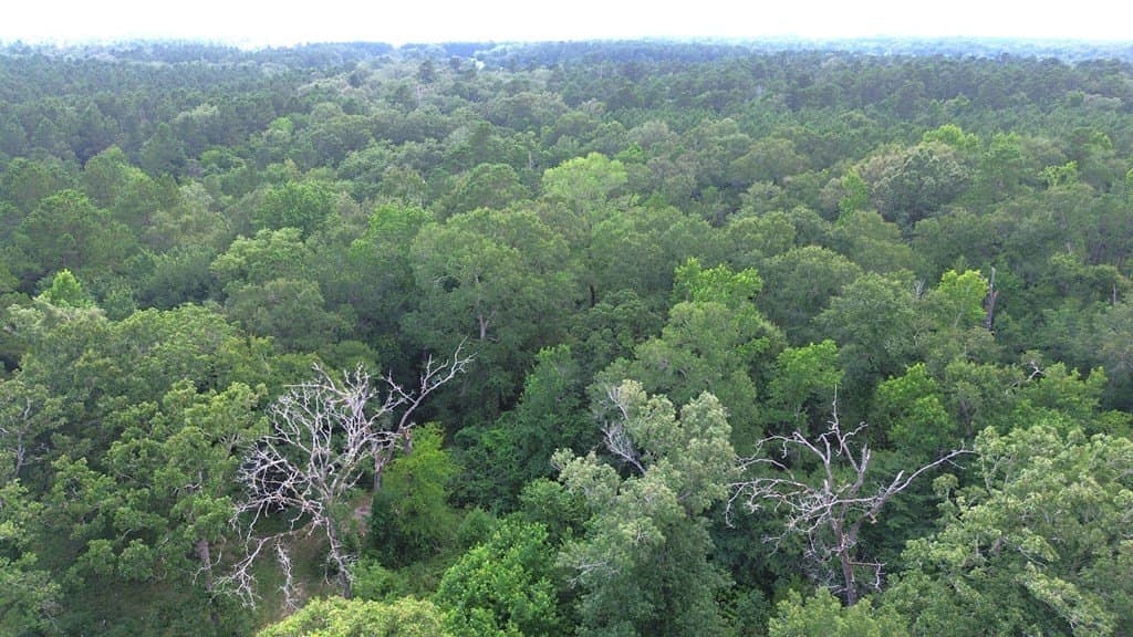 30.48 acres in Texas County - photo 7