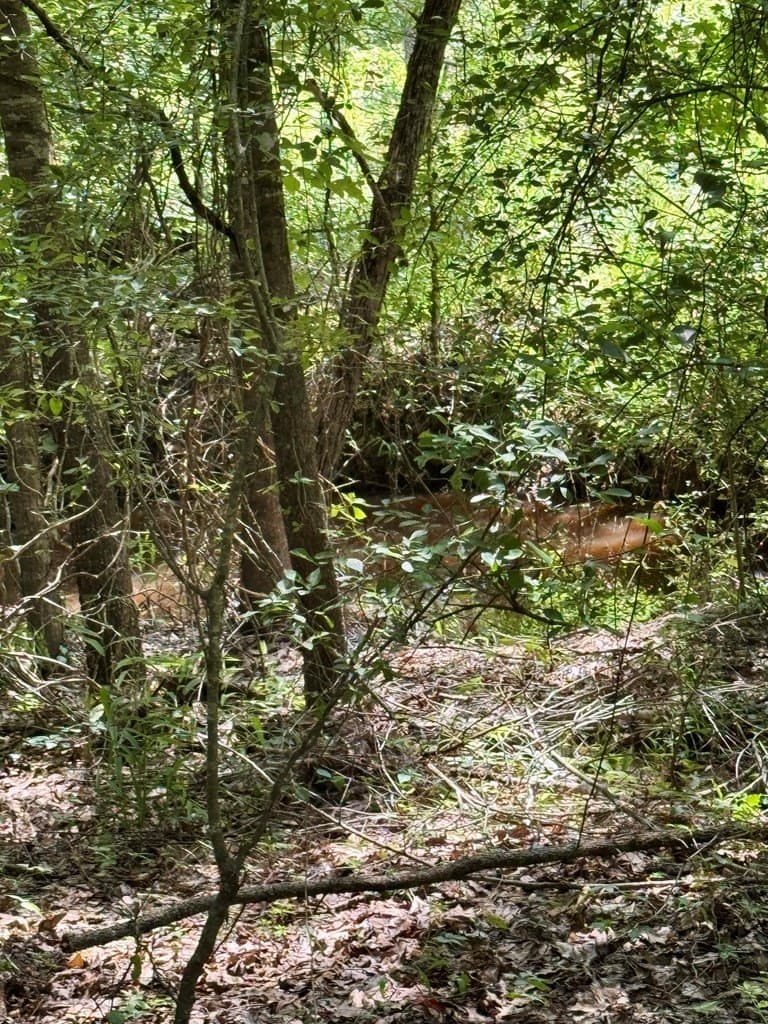 30.48 acres in Texas County - photo 19